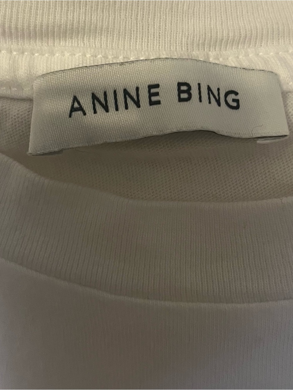 Anine Bing Louis Tour Graphic Tee - Picture 6 of 6